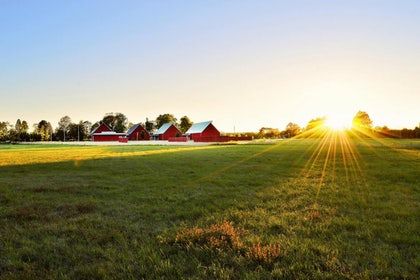 farm insurance